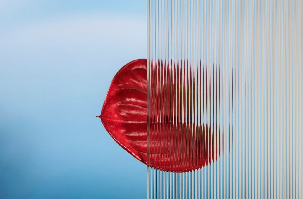 Trasparenza e limiti